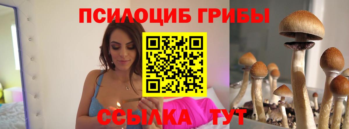 Псилоцибиновые грибы GOLDEN TEACHER Златоуст