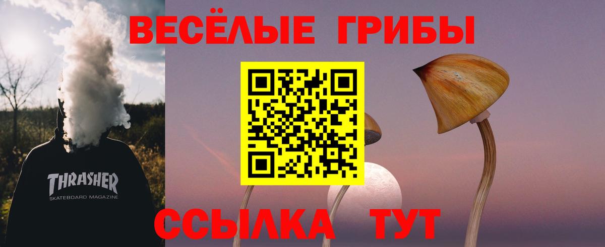 Златоуст  Псилоцибиновые грибы MAGIC MUSHROOMS  Вход с VPN 